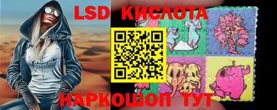 прущие грибы Тверь